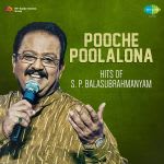 Pooche Poolalona - Telugu Hits Of S. P. Balasubrahmanyam