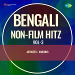 Bengali Non-Film Hitz Vol-3