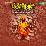 Pandharichi Vaari