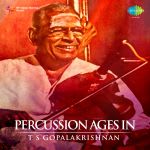T.S. Gopalakrishnan - Percussion Through The Ages In South India