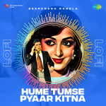 Hume Tumse Pyaar Kitna - Lofi