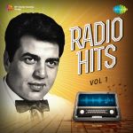 Radio Hits Vol. 1