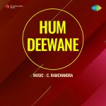 Hum Deewane