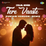 Tere Vaaste Punjabi Version - Remix