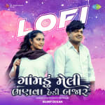 Gomadu Meli Bhanava Hedi Bajar - Lofi