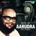 Hits Of Aarudra-The Lyricist