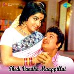 Thedi Vandha Maappillai
