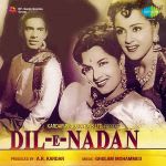Dil-E-Nadan