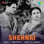 Shehnai