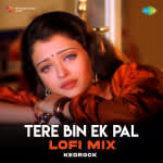 Tere Bin Ek Pal - Lofi Mix