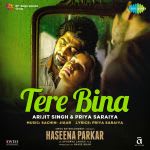 Tere Bina - Haseena Parkar