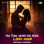 Na Tum Jano Na Hum - Lofi Hop