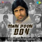 Main Hoon Don - Amitabh Bachchan Special