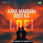 Aaya Mausam Dosti Ka - Lofi