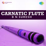B.N. Suresh - Carnatic Flute