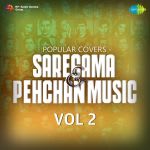 Popular Covers - Saregama & Pehchan Music Vol-2