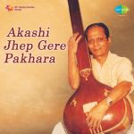 Sudhir Padke Akashi Zhep Ghe Re Pakhara