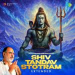 Shiv Tandav Stotram - Extended