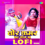 Tor Kamar Ka Chij Ba - Lofi