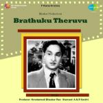 Brathuku Theruvu