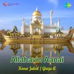 Allahavin Aanai