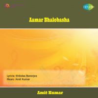 Brishti Nameni
