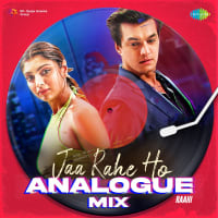 Jaa Rahe Ho Analogue Mix
