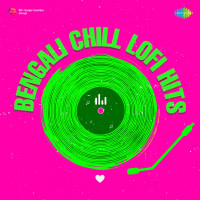 Tomar Samadhi Phoole Phoole Dhaka - Lofi