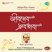Amar Ei Path Chaoyatei Ananda