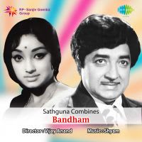 Janichappozhe Thanichayi Njan