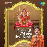 Tu Radhe Te Gopal Hova Mein