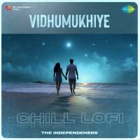 Top Albums by Artistes