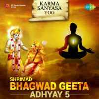 Karma Sanyasa Yoga 07