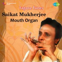 Mor Bina Othe Kon Sure Baji - Instrumental