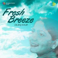 Top Albums by Artistes