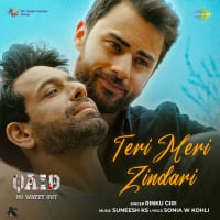 Teri Meri Zindari