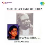Shankar Sharan Tore, Guni Jan Bakhane Gun Ki, Omkar Prabhava Deva - Khayal