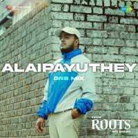 Top Albums by Artistes