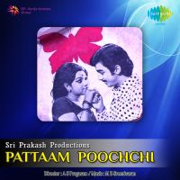 Sakkarai Panthalil