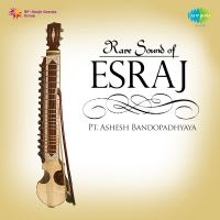 Esraj - Alaap, Gat, Dhun In Keharwa