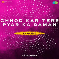 Chhod Kar Tere Pyar Ka Daman - Afro Mix