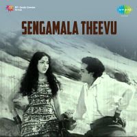 Ennai Paartha Parigaasam