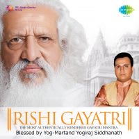 Blessings By Yog Martand Yogiraj Siddhnath Ji