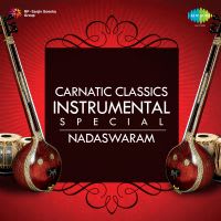 carnatic music instrumental nadaswaram free download