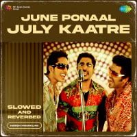 Top Albums by Artistes