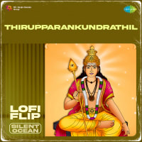 Thirupparankundrathil Lofi Flip