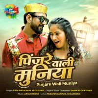 Pinjare Wali Muniya