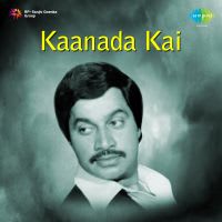 Top Albums by Artistes