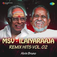 Naan Aanaiyitaal - Remix