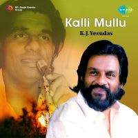 Top Albums by Artistes